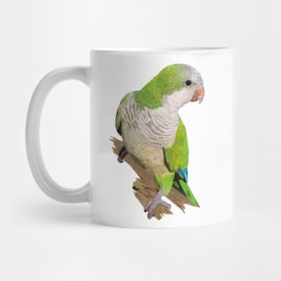 Argentine Parakeet Mug